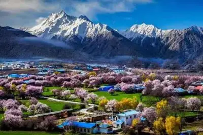 9 Days Tibet Peach Blossom Festival Tour